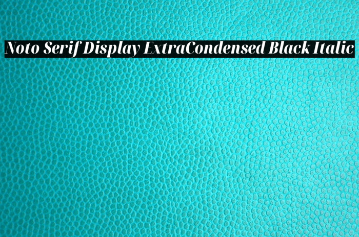 Noto Serif Display ExtraCondensed Black Italic Font examples