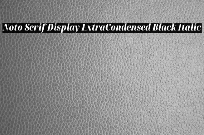 Noto Serif Display ExtraCondensed Black Italic Example 3