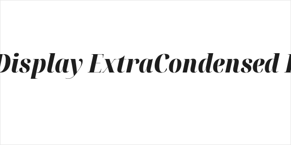 Noto Serif Display ExtraCondensed Black Italic Logo
