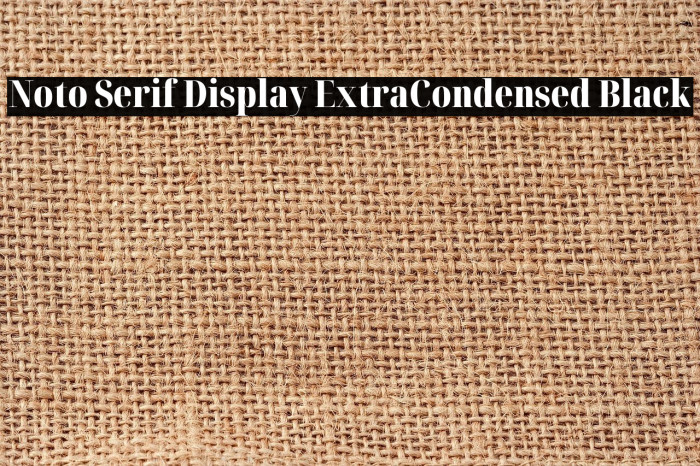 Noto Serif Display ExtraCondensed Black Font examples