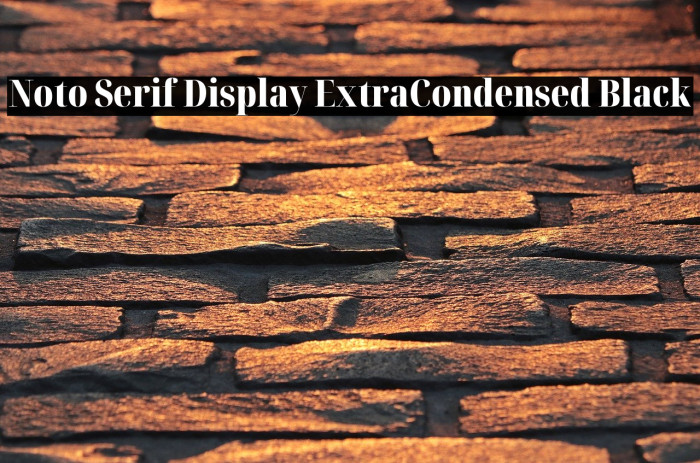 Noto Serif Display ExtraCondensed Black Font examples