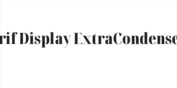 Noto Serif Display ExtraCondensed Black Logo