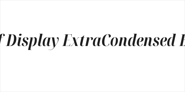 Noto Serif Display ExtraCondensed Bold Italic Logo