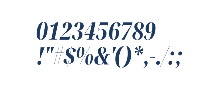Noto Serif Display ExtraCondensed ExtraBold Italic Other Characters