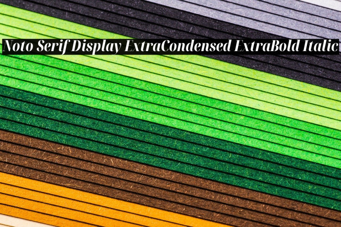 Noto Serif Display ExtraCondensed ExtraBold Italic Example 1