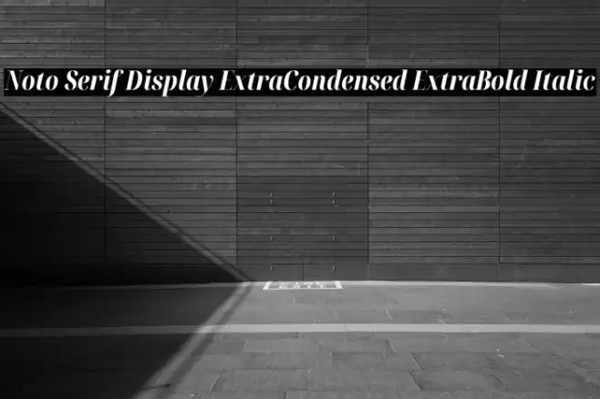 Noto Serif Display ExtraCondensed ExtraBold Italic Font examples
