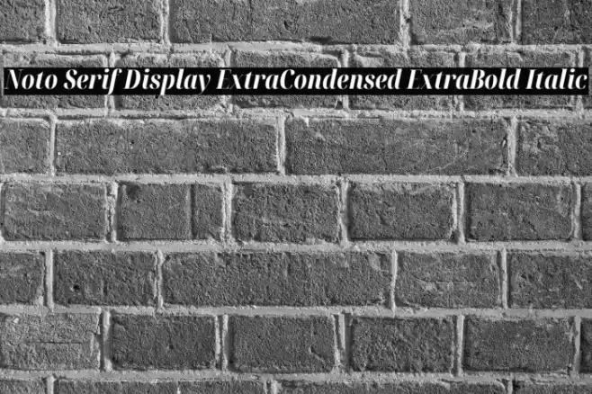 Noto Serif Display ExtraCondensed ExtraBold Italic Font examples
