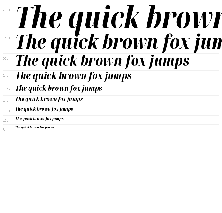 Noto Serif Display ExtraCondensed ExtraBold Italic Waterfall