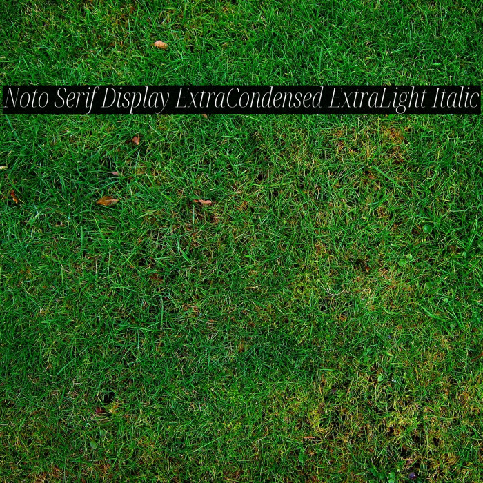 Noto Serif Display ExtraCondensed ExtraLight Italic Font examples