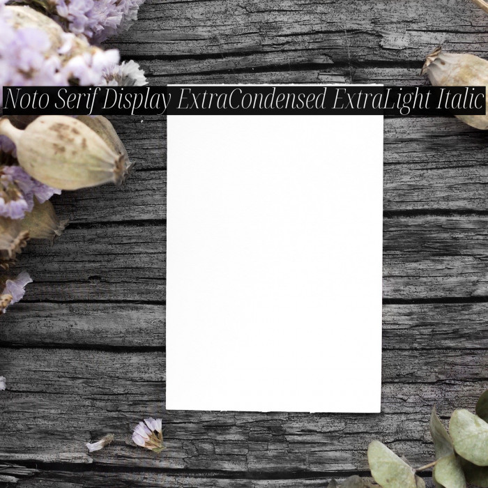 Noto Serif Display ExtraCondensed ExtraLight Italic Font examples