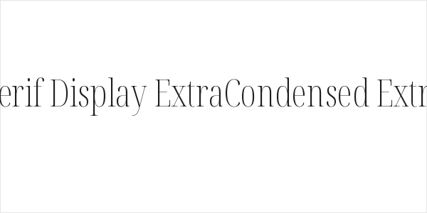 Noto Serif Display ExtraCondensed ExtraLight Logo