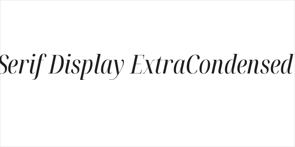 Noto Serif Display ExtraCondensed Italic Logo