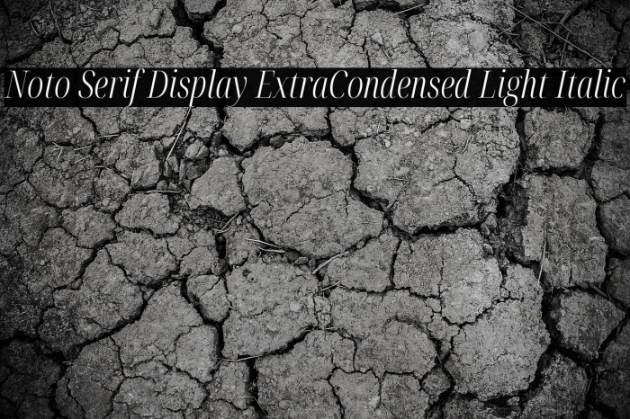 Noto Serif Display ExtraCondensed Light Italic Example 3