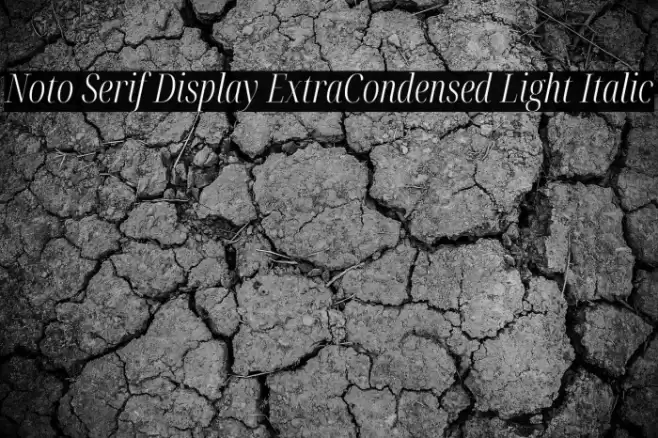 Noto Serif Display ExtraCondensed Light Italic Font examples