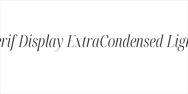 Noto Serif Display ExtraCondensed Light Italic Logo