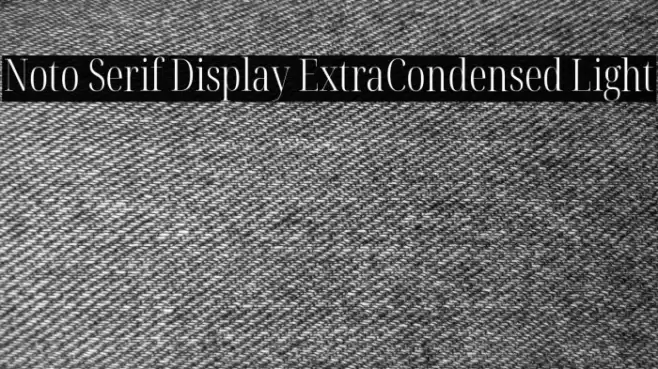 Noto Serif Display ExtraCondensed Light Font examples