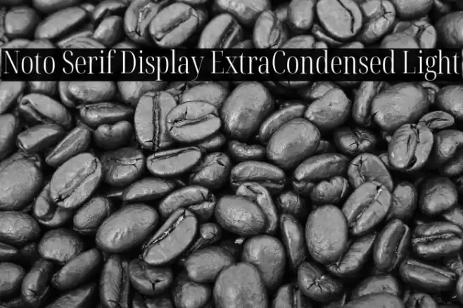 Noto Serif Display ExtraCondensed Light Font examples