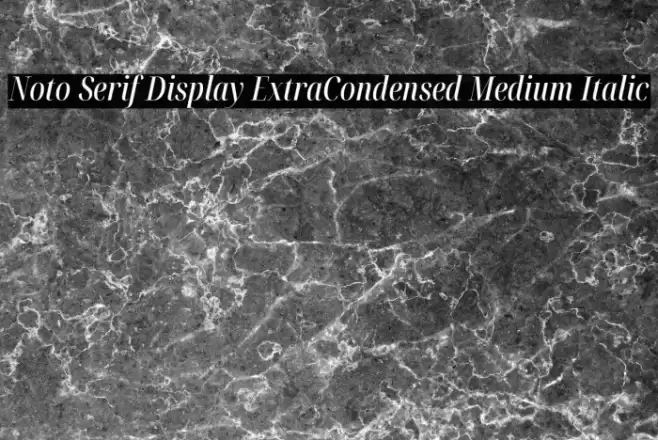 Noto Serif Display ExtraCondensed Medium Italic Font examples