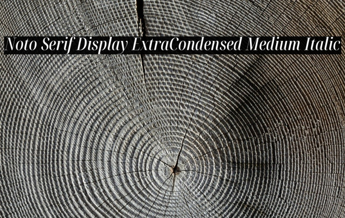 Noto Serif Display ExtraCondensed Medium Italic Example 3