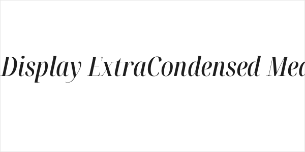 Noto Serif Display ExtraCondensed Medium Italic Logo