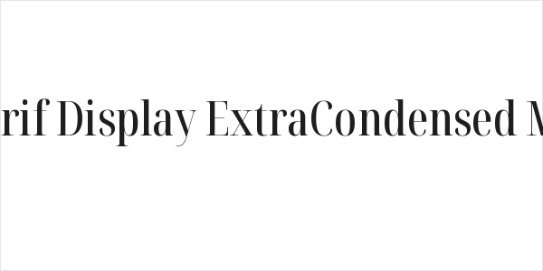 Noto Serif Display ExtraCondensed Medium Logo