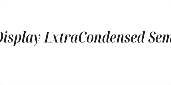Noto Serif Display ExtraCondensed SemiBold Italic Logo