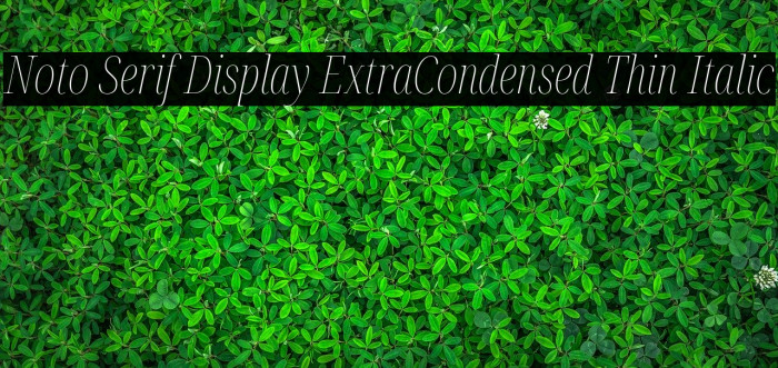 Noto Serif Display ExtraCondensed Thin Italic Font examples