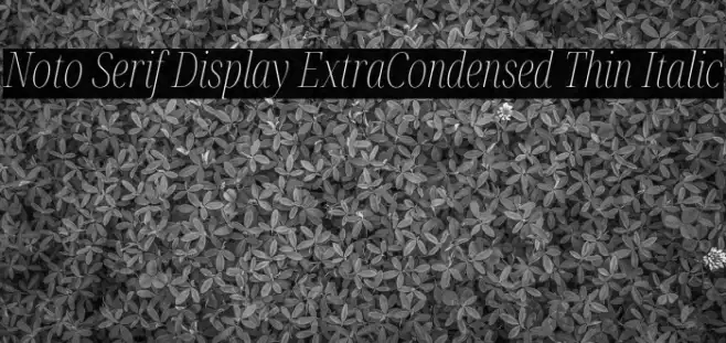 Noto Serif Display ExtraCondensed Thin Italic Example 3