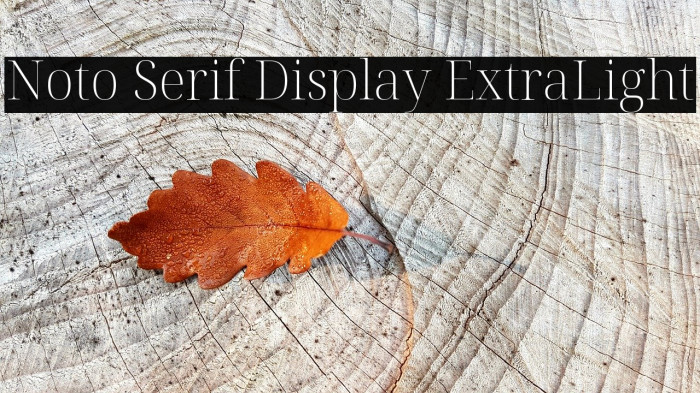 Noto Serif Display ExtraLight Example 2
