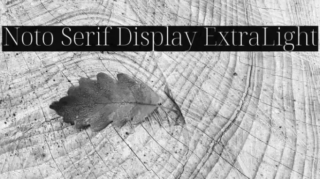 Noto Serif Display ExtraLight Font examples