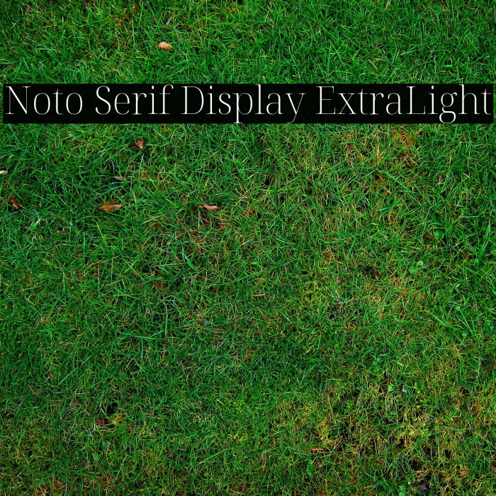 Noto Serif Display ExtraLight Example 3