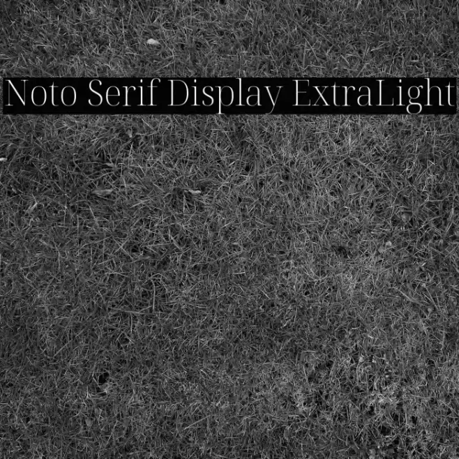 Noto Serif Display ExtraLight Font examples