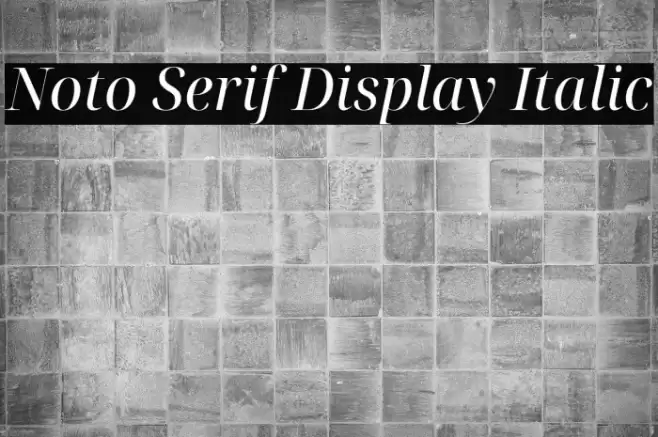 Noto Serif Display Italic Font examples