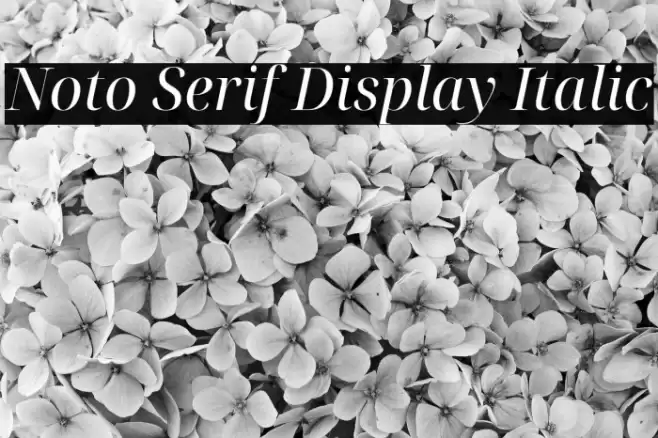 Noto Serif Display Italic Font examples