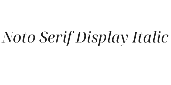 Noto Serif Display Italic Logo
