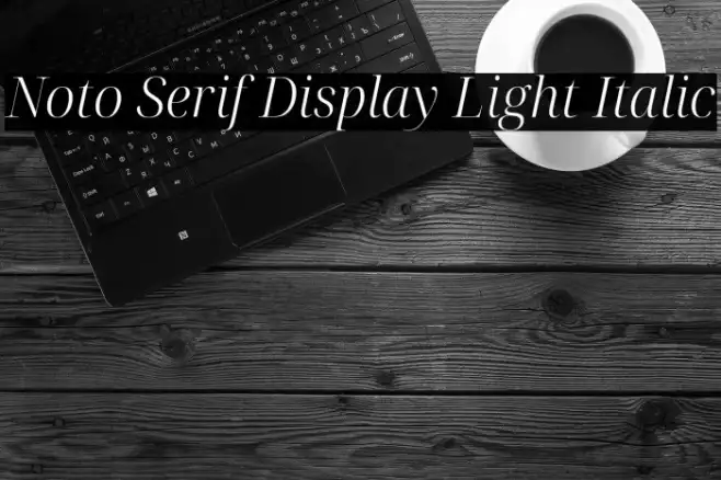 Noto Serif Display Light Italic Example 1