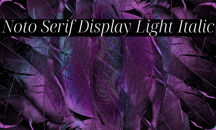 Noto Serif Display Light Italic Font examples