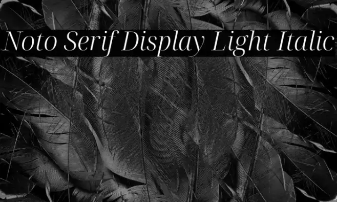 Noto Serif Display Light Italic Example 2