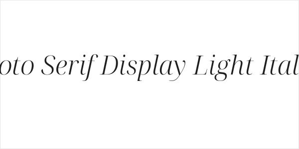 Noto Serif Display Light Italic Logo