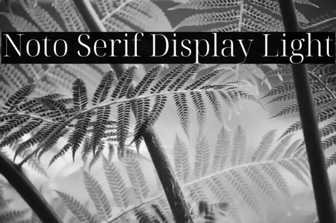 Noto Serif Display Light Font examples
