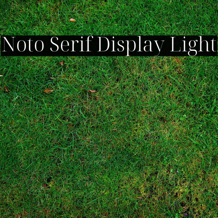 Noto Serif Display Light Example 2