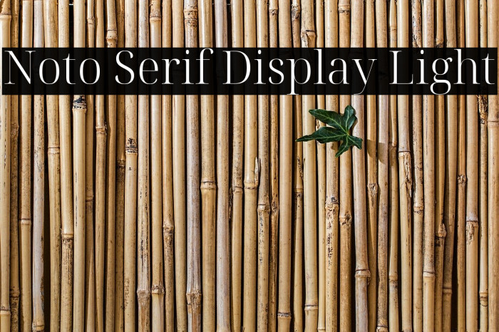 Noto Serif Display Light Example 3