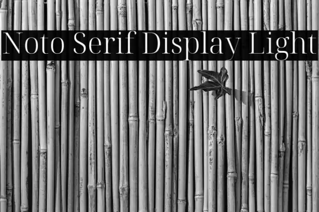 Noto Serif Display Light Font examples