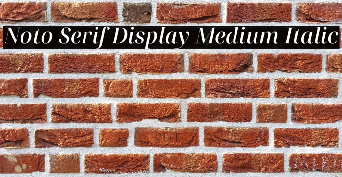 Noto Serif Display Medium Italic Font examples