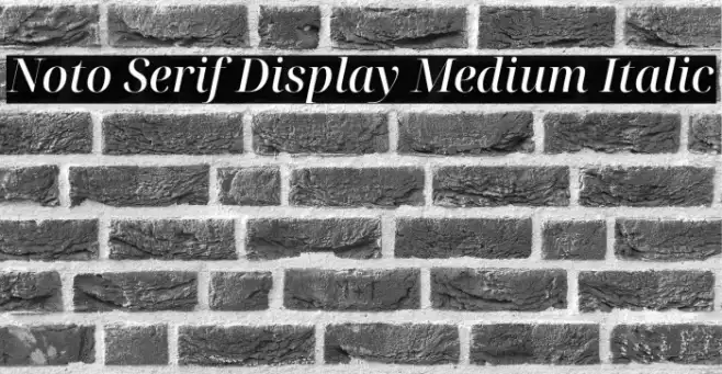 Noto Serif Display Medium Italic Example 1