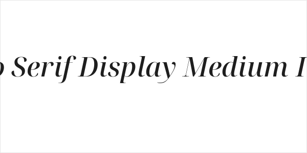 Noto Serif Display Medium Italic Logo