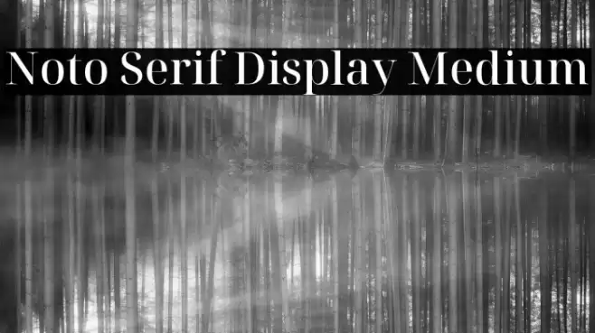 Noto Serif Display Medium Font examples