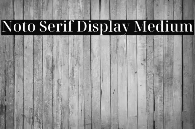 Noto Serif Display Medium Font examples