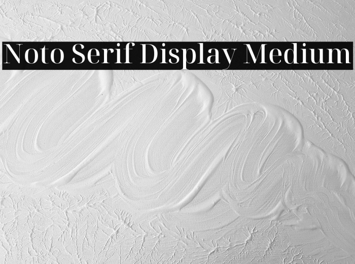 Noto Serif Display Medium Font examples