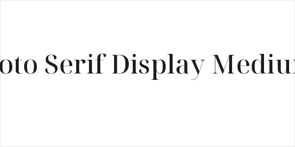 Noto Serif Display Medium Logo